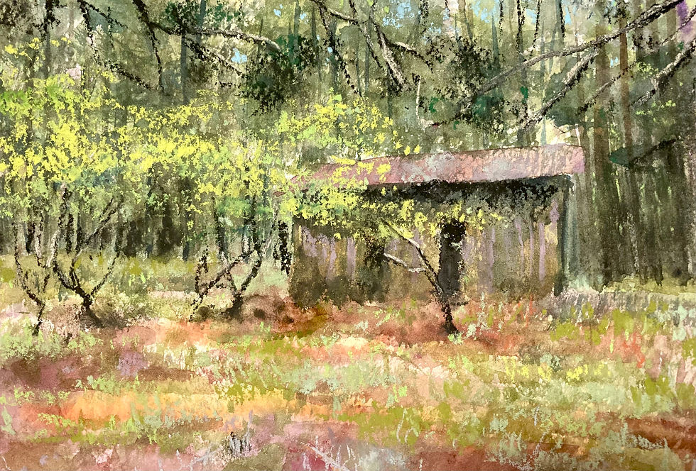 熊野古道18