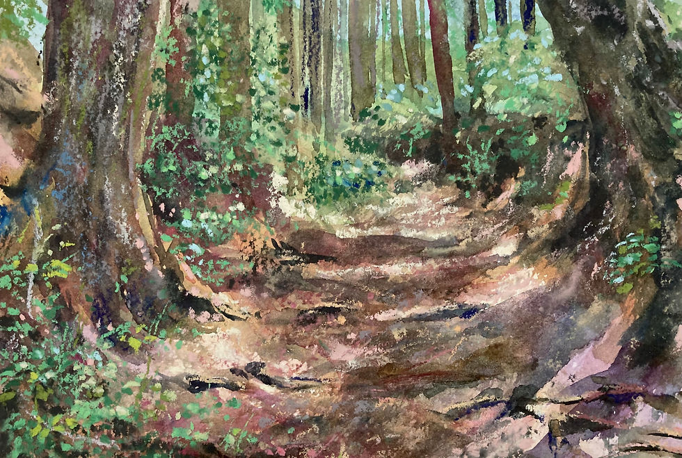 熊野古道17