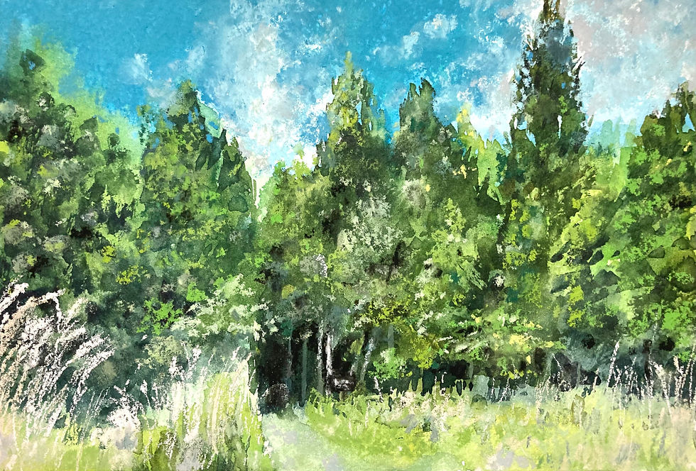 熊野古道12