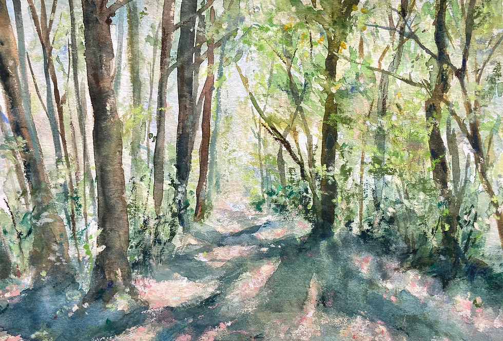 熊野古道36