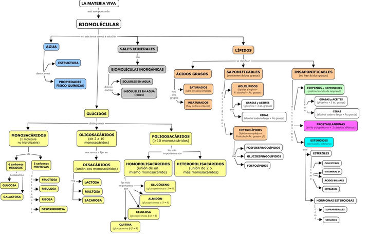 Bioelementos y Biomoleculas
