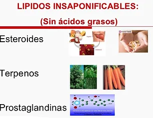 Mejor un ciclo de esteroides Aplicaciones para Android / iPhone 50 mejores tweets de todos los tiempos sobre un ciclo de esteroides