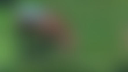 Glyndon Hyote: Mutant Mystery Beast Prowls Central Maryland