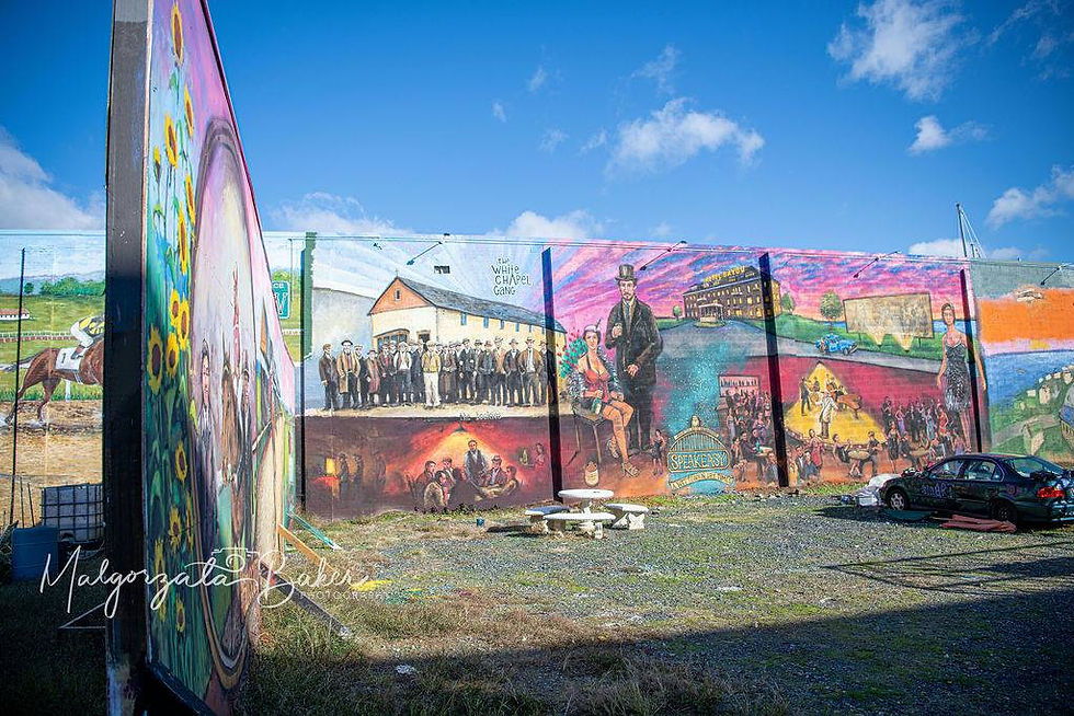 PRESS RELEASE: Harmer's Town Art Center Unveils Plans for Unique Interactive Art Experience and Facility in Historic Downtown Havre de Grace