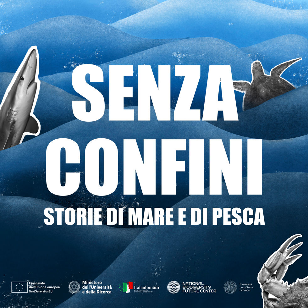 Podcast 1 - Senza confini