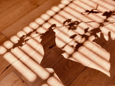 shadow_play.jpeg