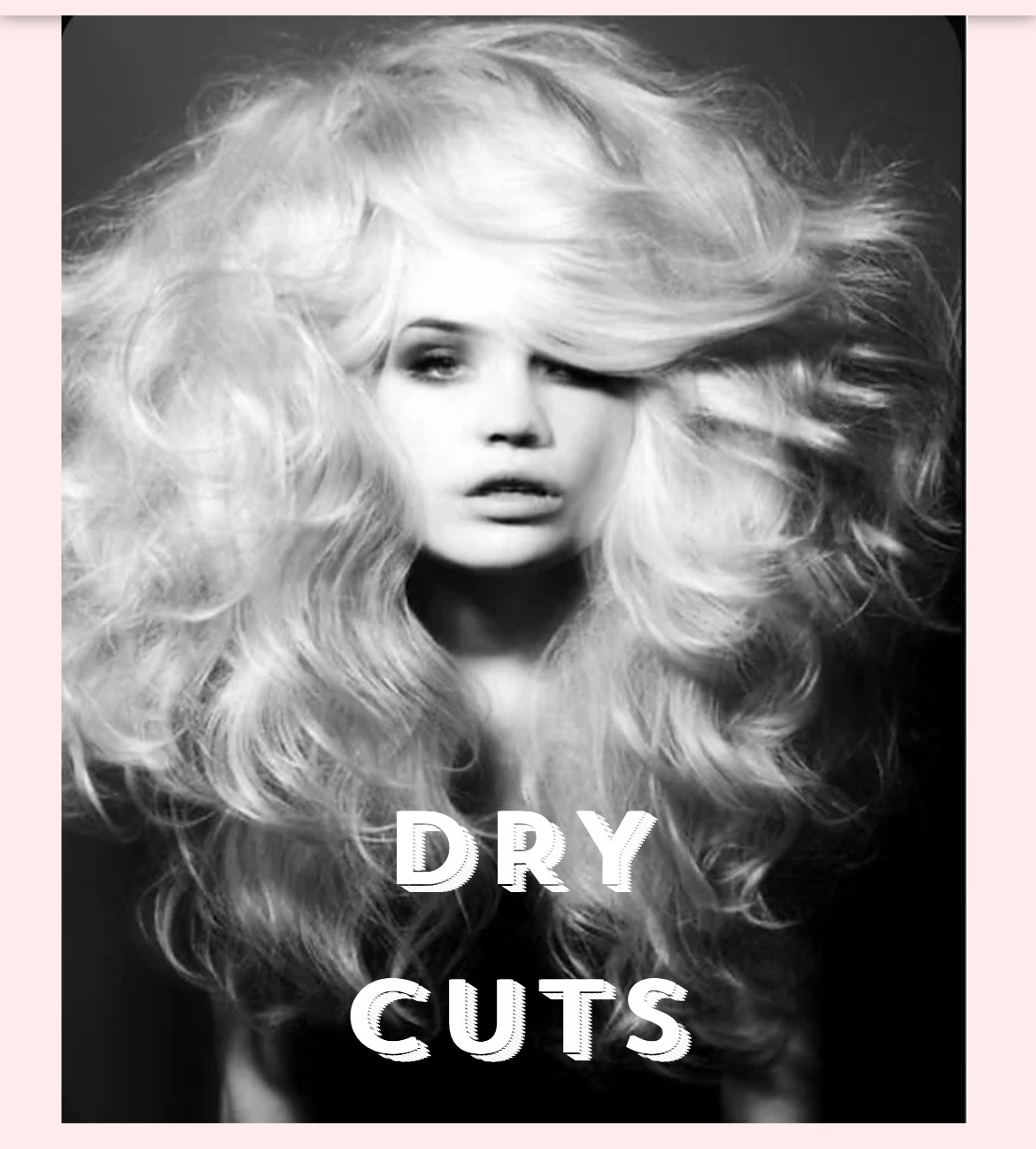 DRY CUTS Dirty Blonde Salon dry-cuts-dirty-blonde-salon