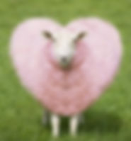 Bristol Bhave Haircare