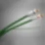 Tchernov Standard Balanced IC Analog Interconnect Cable (5M)