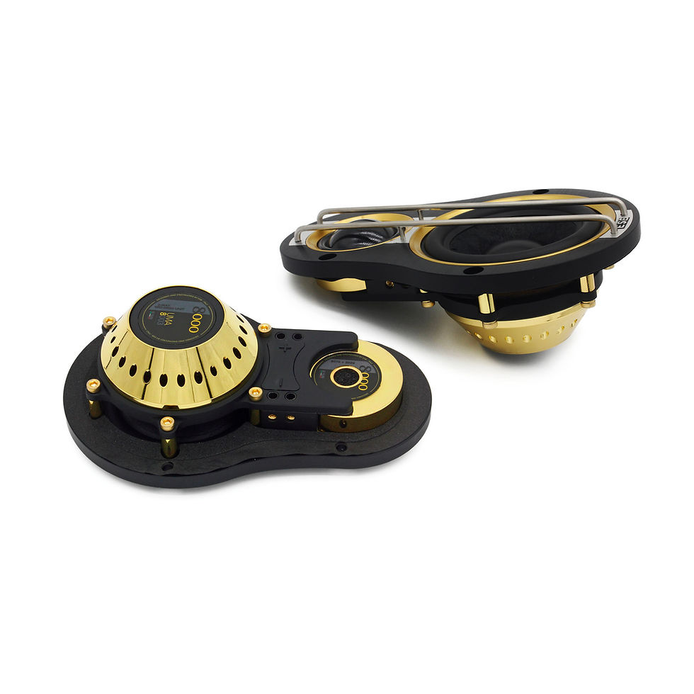 ESB Audio 8.6K3U LE Ottomila 3-Way Speaker System components, view 2
