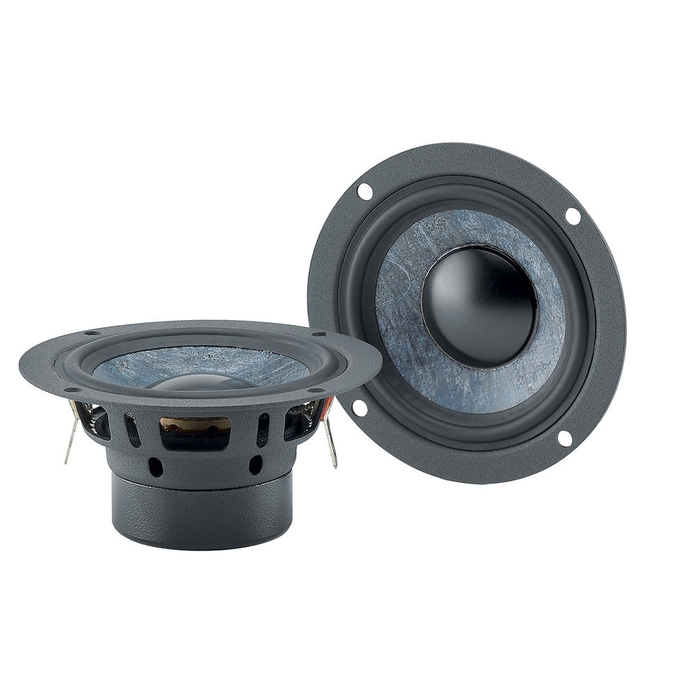 Focal Slatefiber 65 SF 2.5-Inch Wideband Midrange Speaker Pair 40W RMS