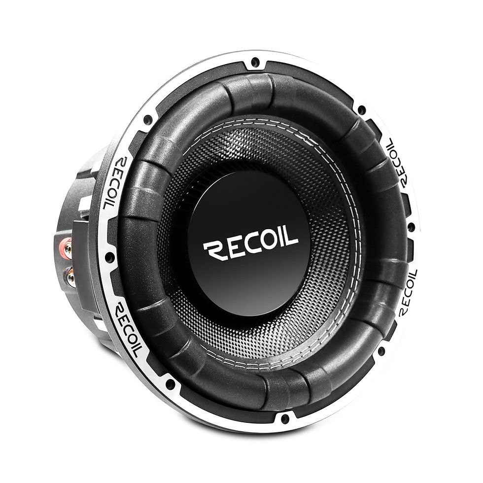 Recoil SW12D2 12 in Dual 2-Ohm Subwoofer angled view