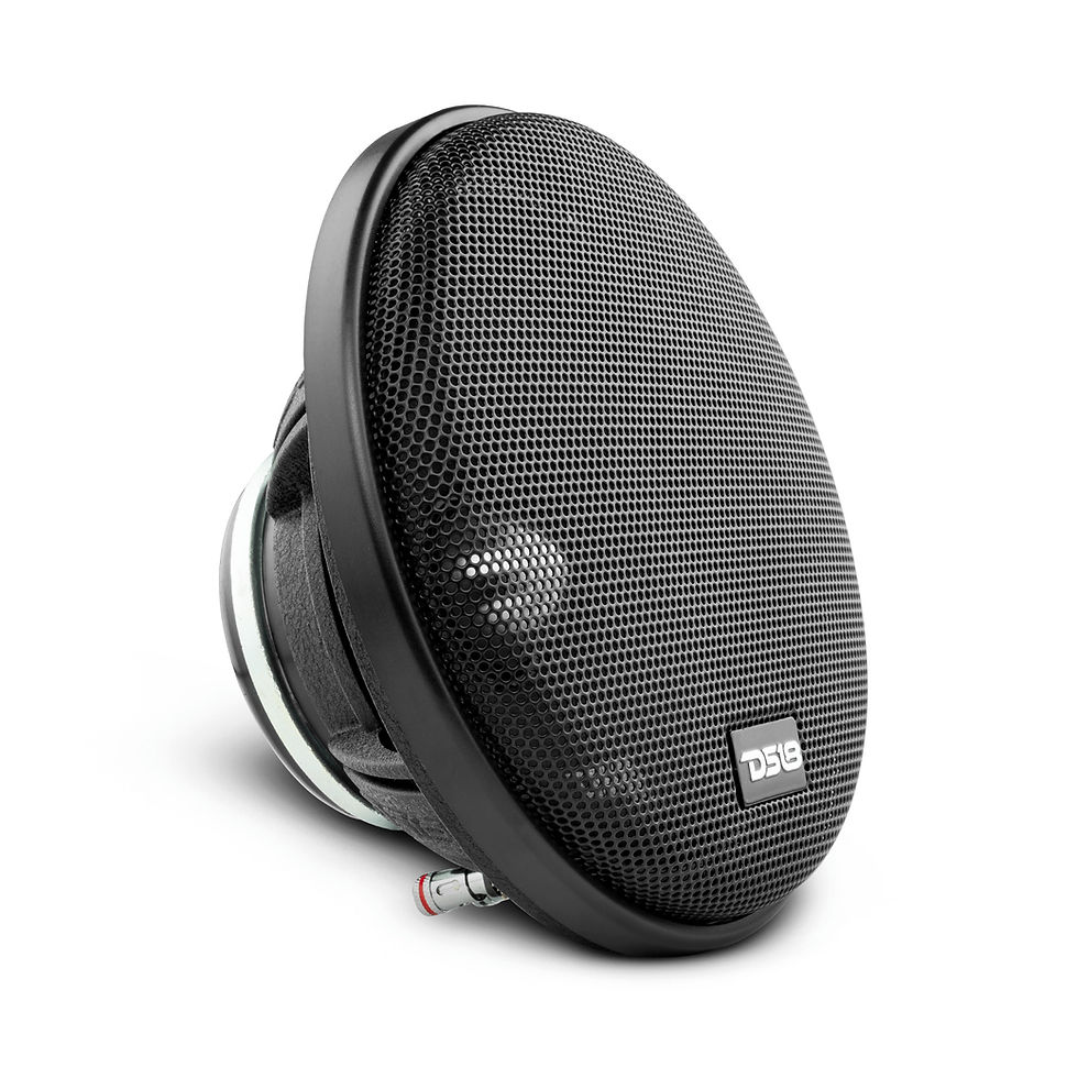 DS18 PRO-FR6NEO 6.5-Inch Loudspeaker with protective grill