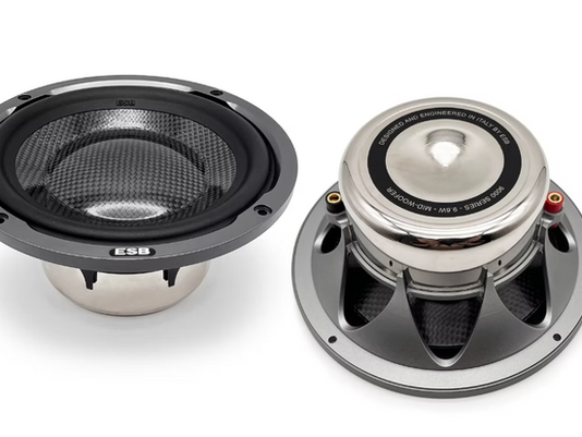 ESB 9.6W Grille Review: CNC Protection for the Novemila Woofer at ₹22,990