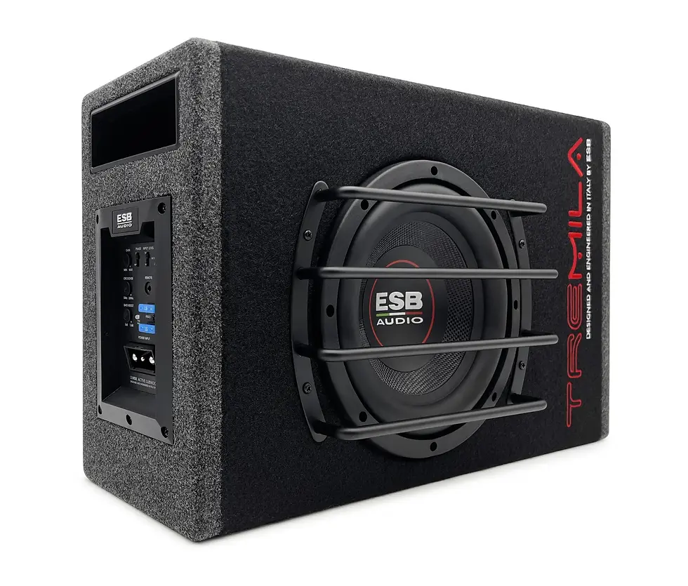 ESB 3.WB8 Review: 8-Inch Active Subwoofer with Built-In 600W Amp at ₹54,990