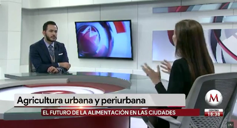 Agricultura Urbana (MILENIO TV, 2019)