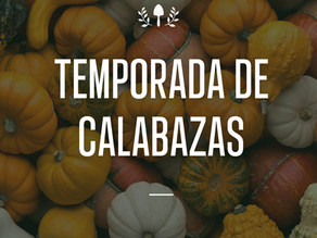 Temporada de Calabazas