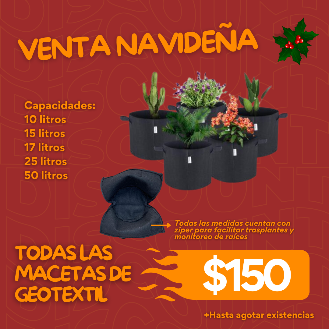 Macetas Ecológicas de Geotextil