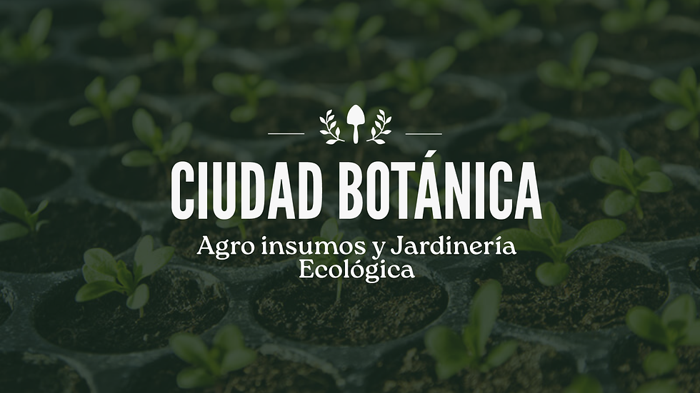 Ciudad Botanica - Home.png