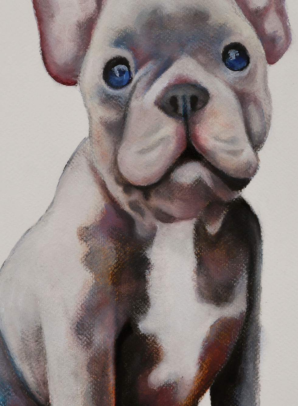 Thumbnail: Muse – French Bulldog Portrait