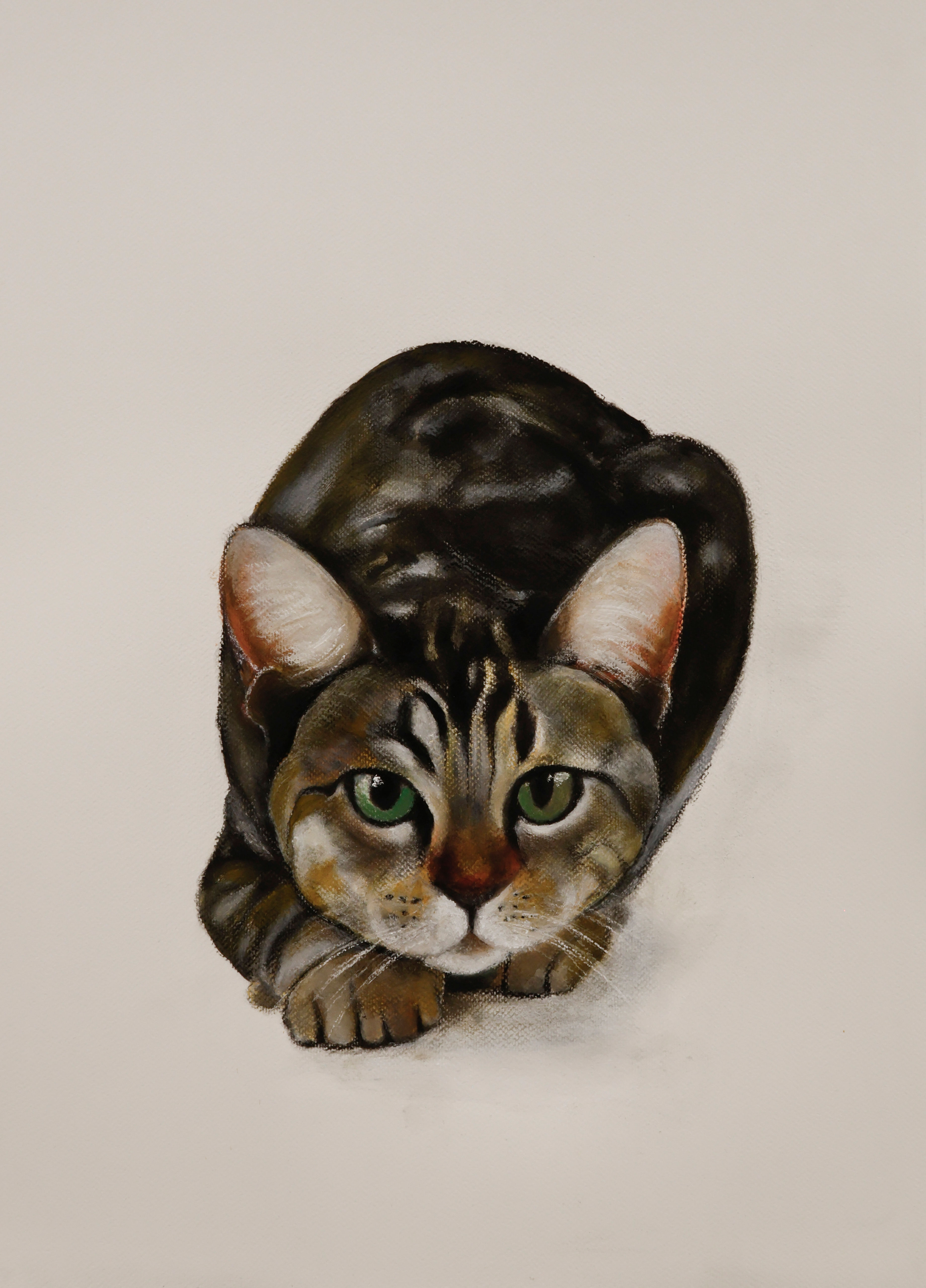 Hunter – Tabby Cat Portrait