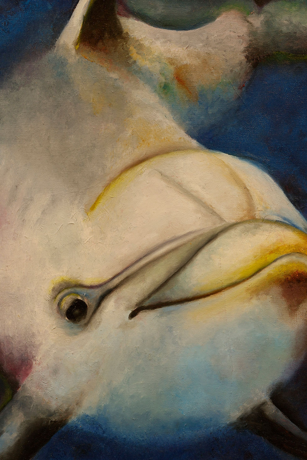 Thumbnail: A Little Dolphin in Blue