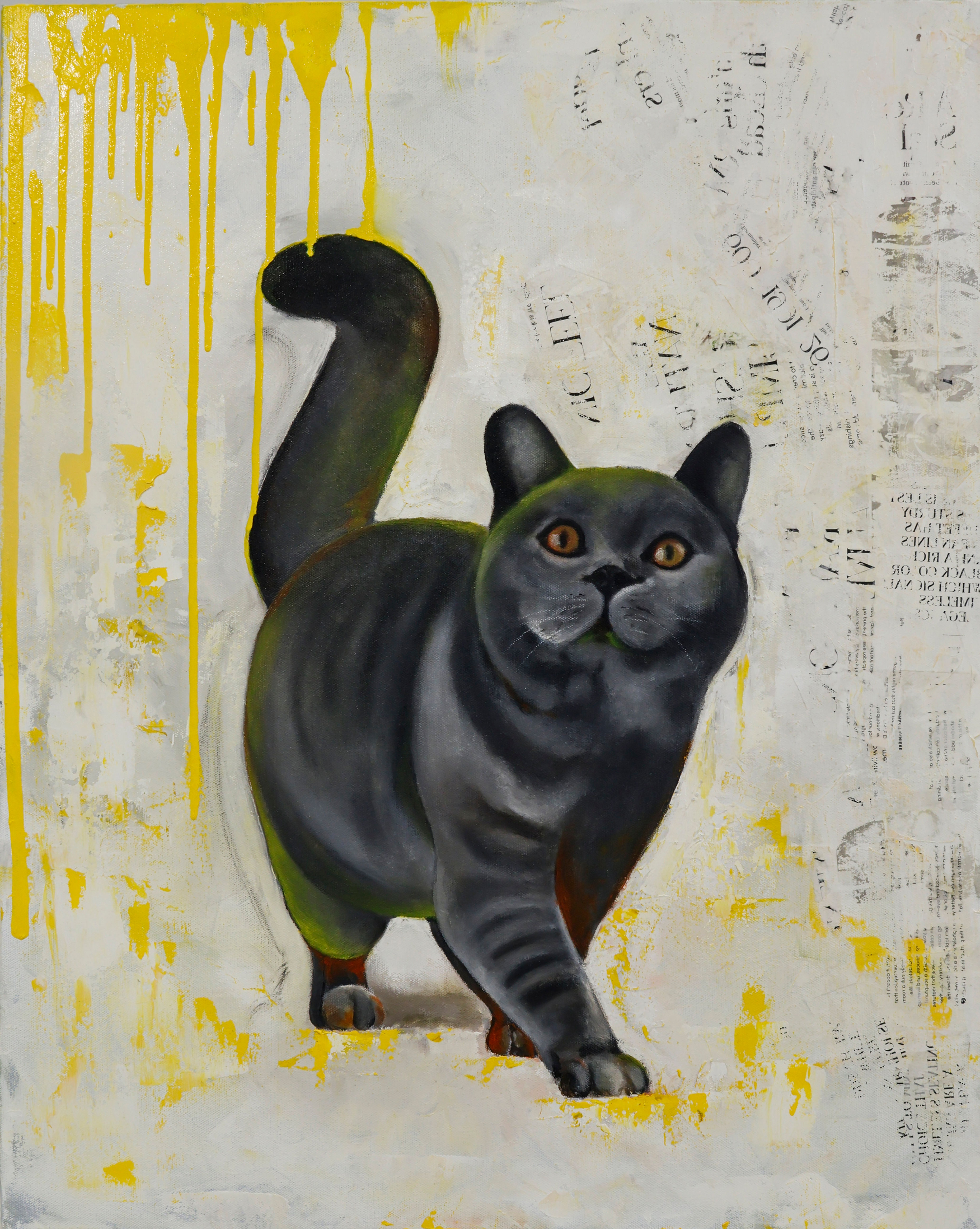 Short-Hair Cat