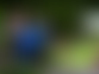 Battered Barwon raises eel fears