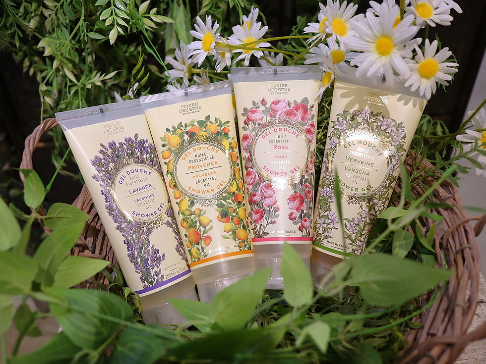 エッセンシャルズ