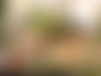 年末のご挨拶と2026年オリジナル福袋について