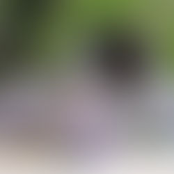 Ashleigh & Burwood（アシュレイ＆バーウッド）フレグランスランプ デコレーションキャップのデザイン変更について