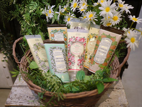 PANIER DES SENS（パニエデサンス）のシャワージェルがリニューアルして新登場🫧