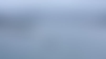 Vidéos drone du départ ponton & de la course.