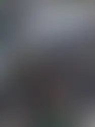 How to follow the start?