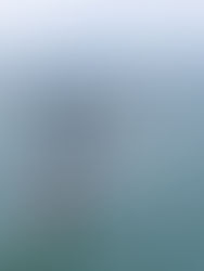 📸 Start of stage 1