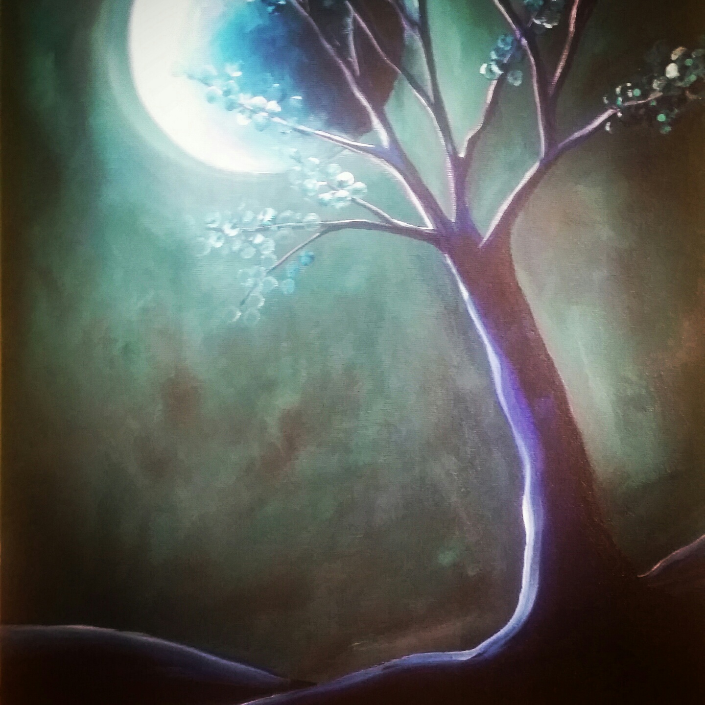 Midnight Moonlight