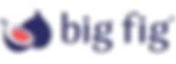 bigfig-logo-web-RGB-horizontal (1) (1).png