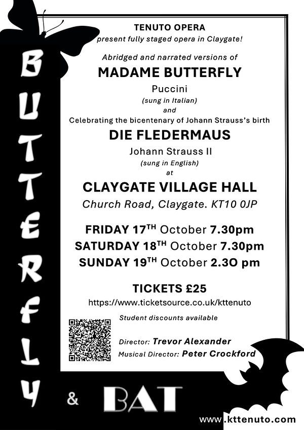 Butterfly and Bat poster copy.jpg