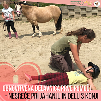 Copy of prva pomoč insta.png