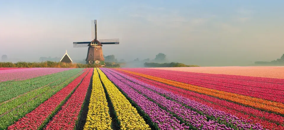 Travel: Holland and Belgium in Spring: A River Cruise at Tulip Time