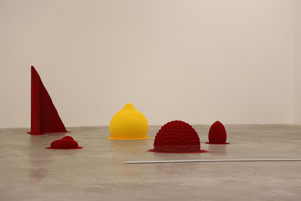 Anish Kapoor: The Beauty and Power of Colour