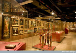 the Wellcome Collection