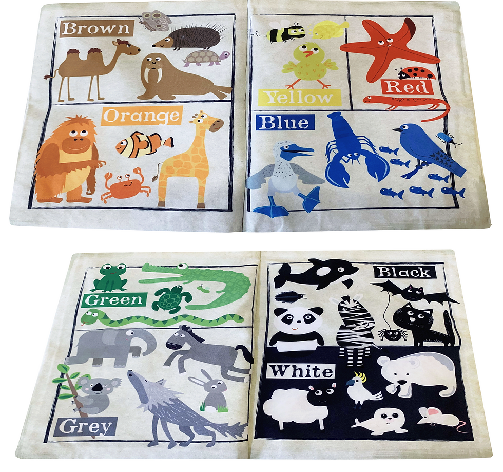 Thumbnail: COLOURFUL CREATURES - colours NT21
