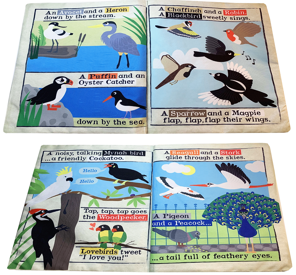 Thumbnail: BIRDS - rhymes NT53