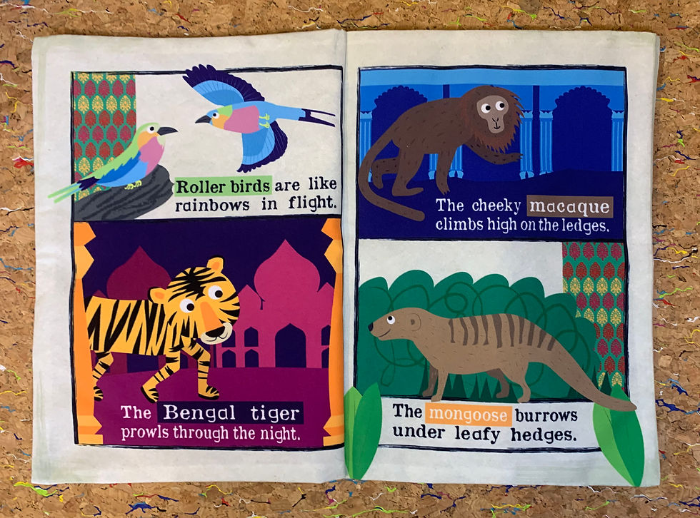 Thumbnail: ANIMALS TWIN PACK. Animals of India and Animals of Africa