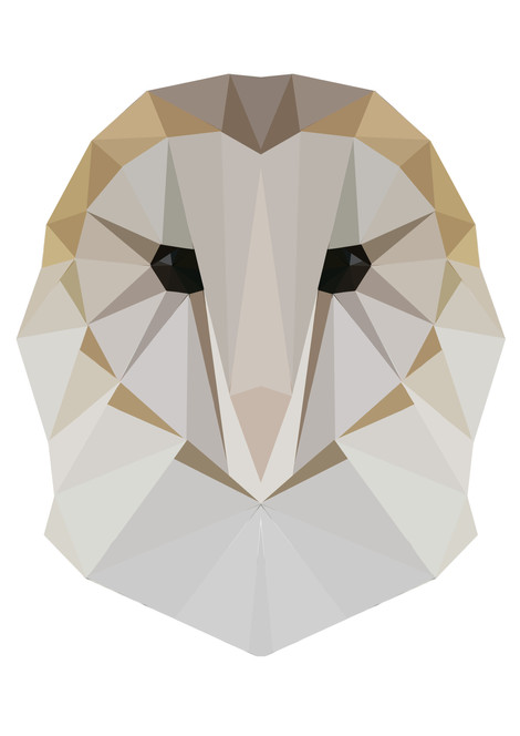 geometric_owl.jpg