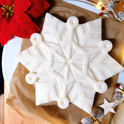 Wax Melts Photo.jpg