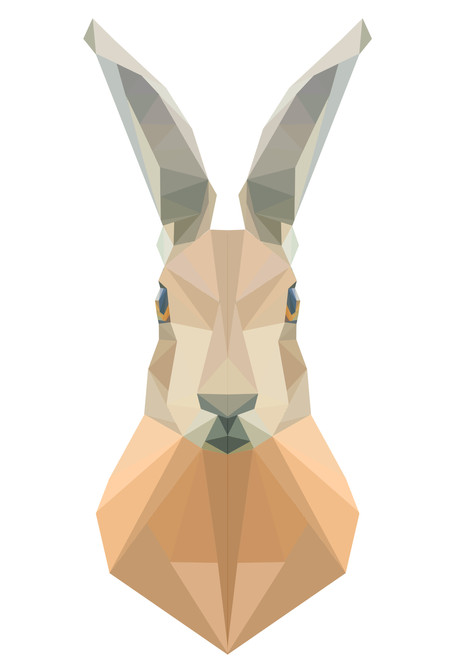 geometric_hare.jpg
