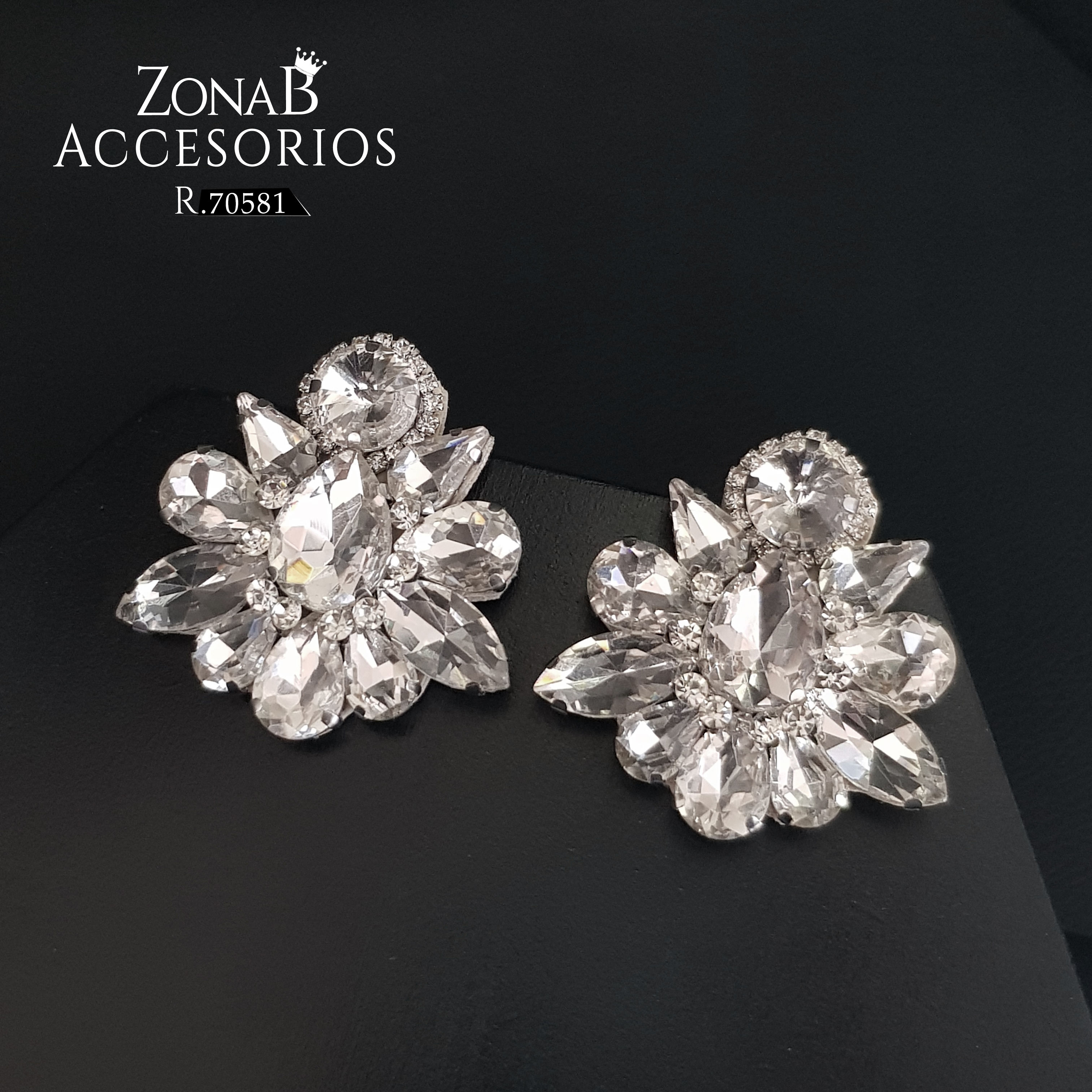 Zarcillos Elegantes R.70581 plateado