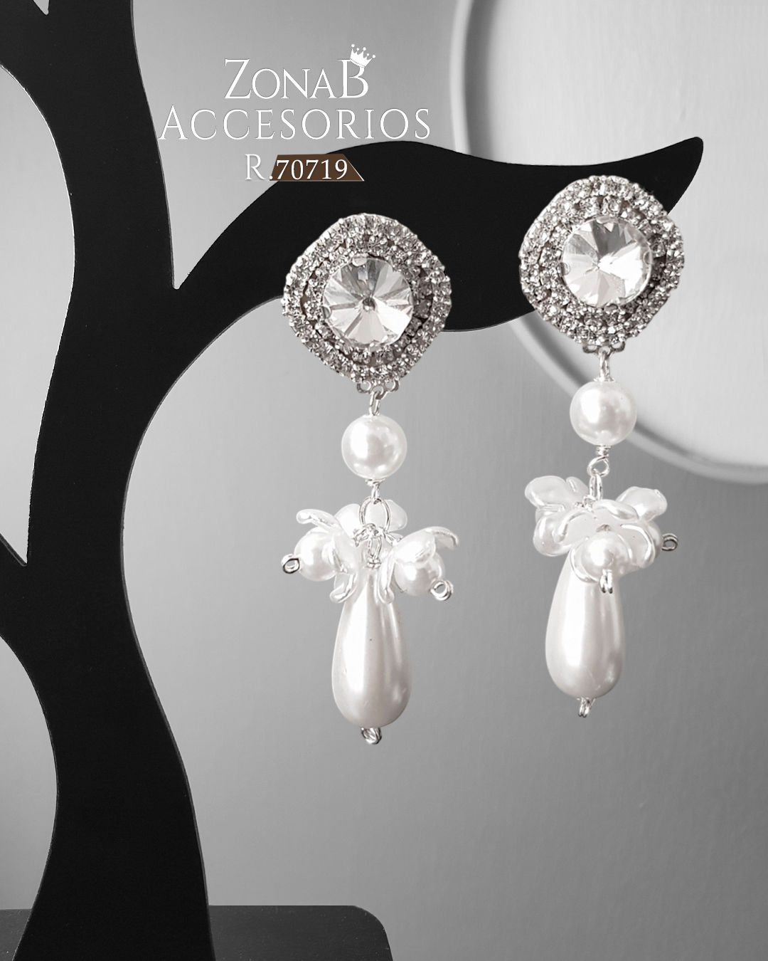 Zarcillos Elegantes R.70719 Plateado